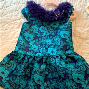 Blue peacock Janie and Jack dress